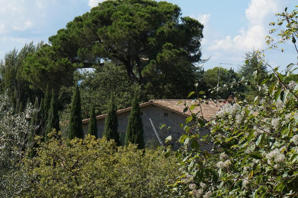 Bed and Breakfast Casa Lucia in Chianti Vagliagli Exterior foto