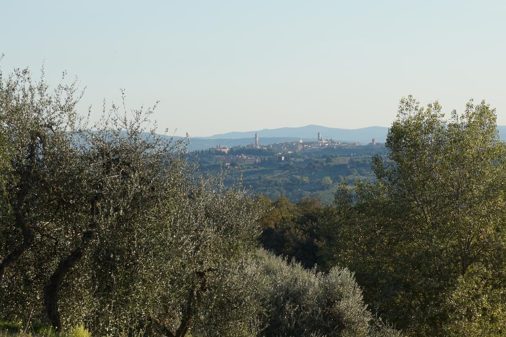 Bed and Breakfast Casa Lucia in Chianti Vagliagli Exterior foto