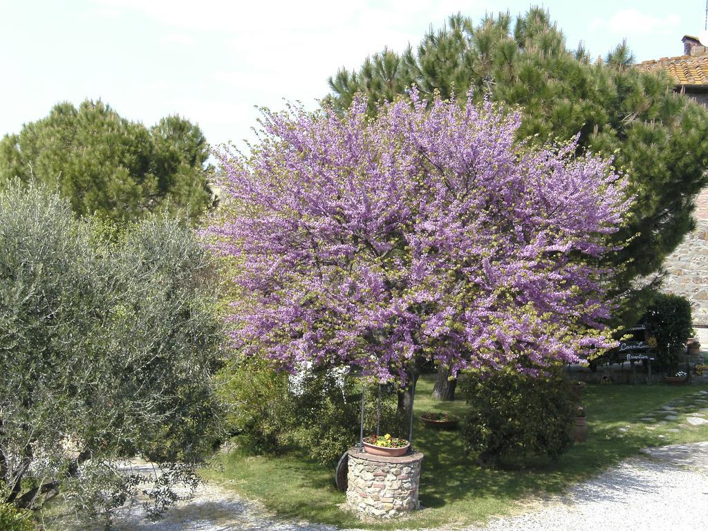Bed and Breakfast Casa Lucia in Chianti Vagliagli Exterior foto